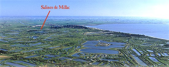 Localisation des Salines de Millac